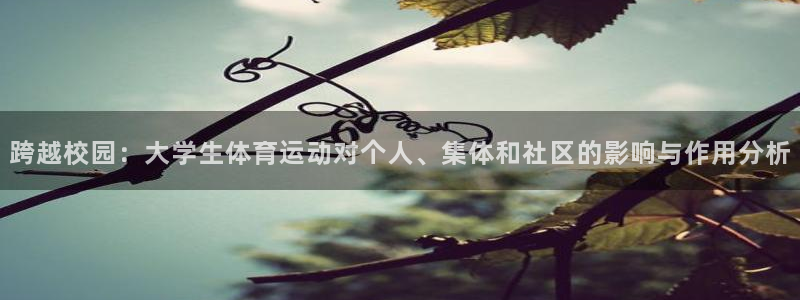 跨越校园：大学生体育运动对个人、集体和社区的影响与作用分析