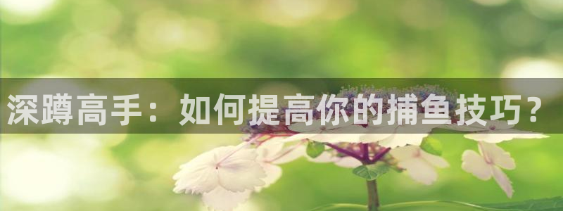 深蹲高手：如何提高你的捕鱼技巧？