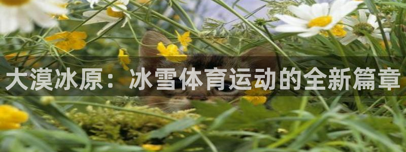 大漠冰原：冰雪体育运动的全新篇章
