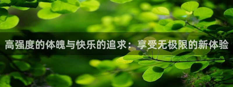 高强度的体魄与快乐的追求：享受无极限的新体验