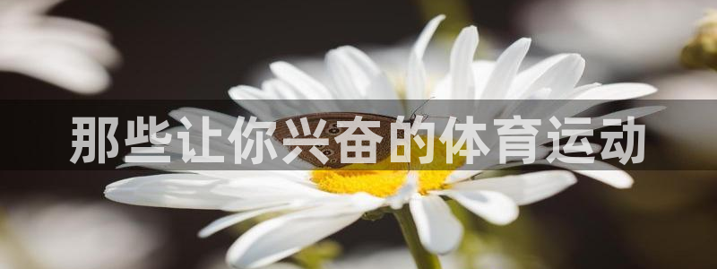 那些让你兴奋的体育运动