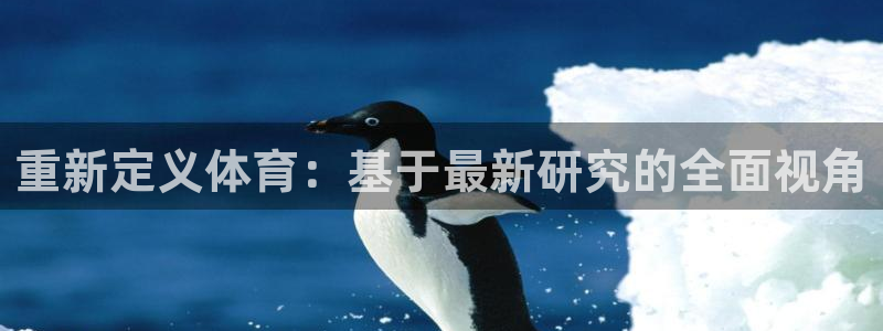 重新定义体育：基于最新研究的全面视角