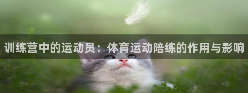 训练营中的运动员：体育运动陪练的作用与影响