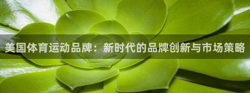 美国体育运动品牌：新时代的品牌创新与市场策略