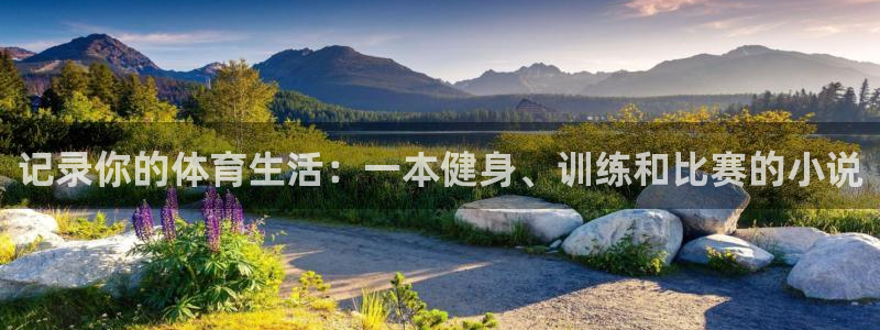 记录你的体育生活：一本健身、训练和比赛的小说