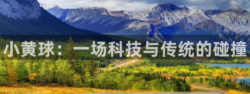 小黄球：一场科技与传统的碰撞