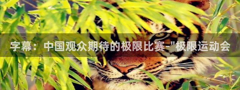 字幕：中国观众期待的极限比赛-\