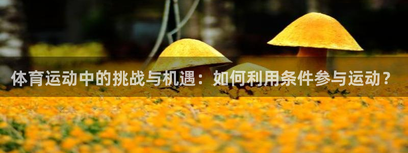 体育运动中的挑战与机遇：如何利用条件参与运动？