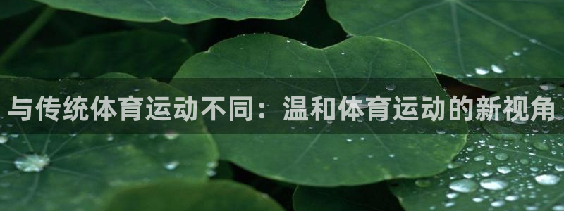 与传统体育运动不同：温和体育运动的新视角