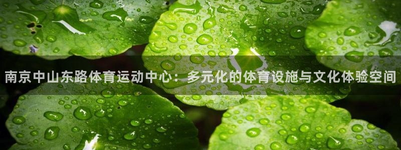 南京中山东路体育运动中心：多元化的体育设施与文化体验空间
