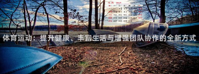 体育运动：提升健康、丰富生活与增强团队协作的全新方式
