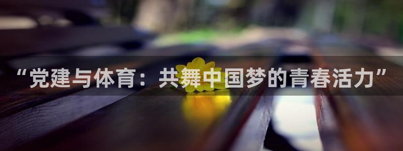 “党建与体育：共舞中国梦的青春活力”