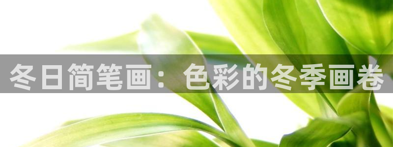 冬日简笔画：色彩的冬季画卷
