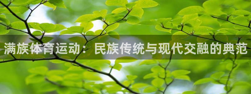满族体育运动：民族传统与现代交融的典范