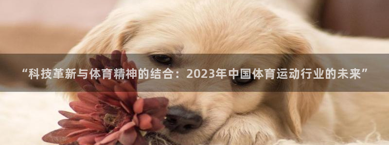 “科技革新与体育精神的结合：2023年中国体育运动行业的未来”