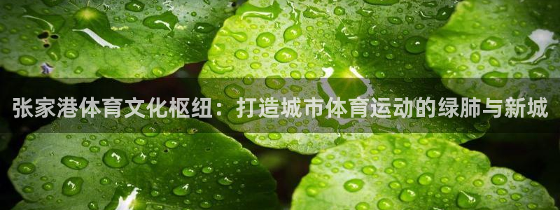 张家港体育文化枢纽：打造城市体育运动的绿肺与新城