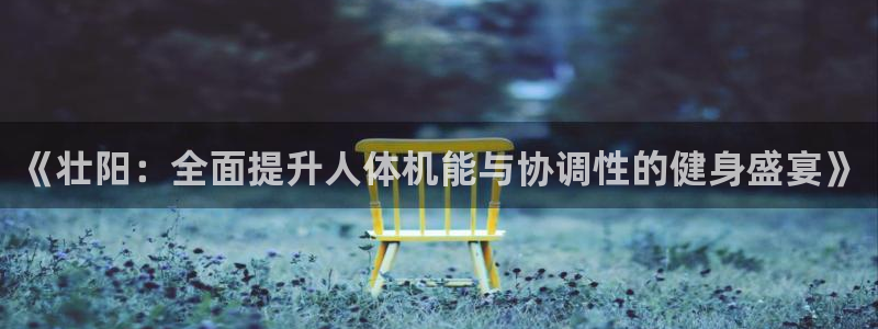 《壮阳：全面提升人体机能与协调性的健身盛宴》