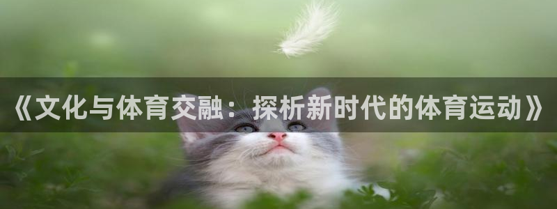 《文化与体育交融：探析新时代的体育运动》