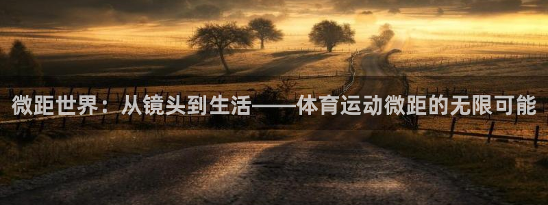 微距世界：从镜头到生活——体育运动微距的无限可能