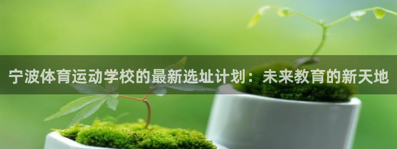 宁波体育运动学校的最新选址计划：未来教育的新天地