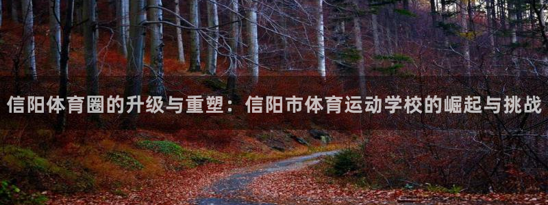 信阳体育圈的升级与重塑：信阳市体育运动学校的崛起与挑战