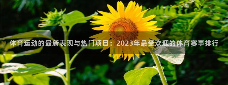 体育运动的最新表现与热门项目：2023年最受欢迎的体育赛事排行