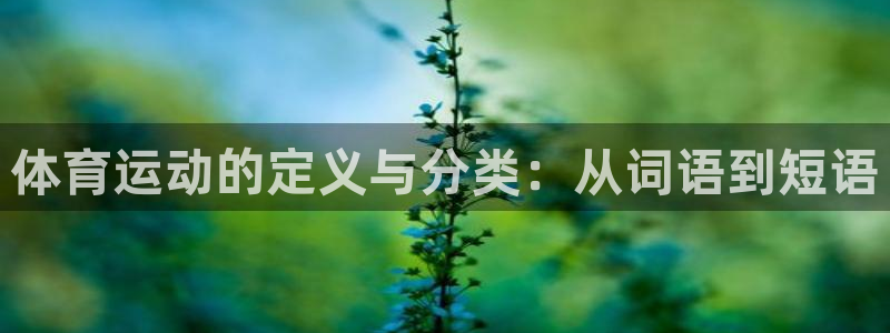体育运动的定义与分类：从词语到短语