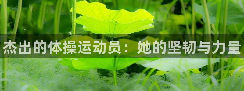 杰出的体操运动员：她的坚韧与力量