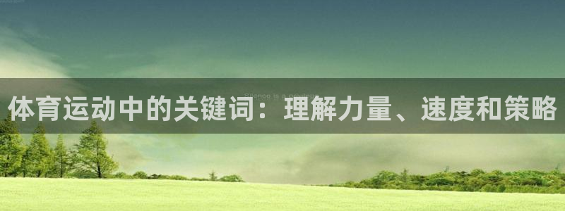 体育运动中的关键词：理解力量、速度和策略