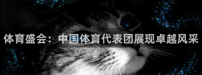 体育盛会：中国体育代表团展现卓越风采