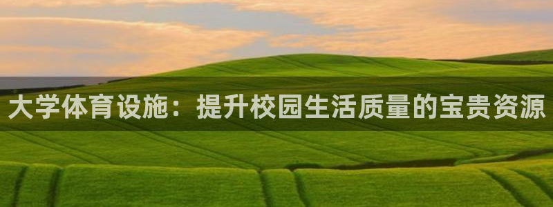 大学体育设施：提升校园生活质量的宝贵资源
