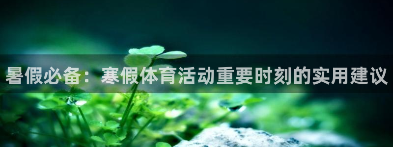 暑假必备：寒假体育活动重要时刻的实用建议