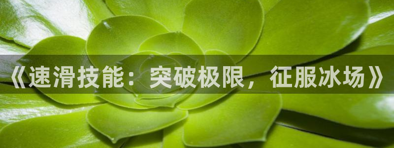 《速滑技能：突破极限，征服冰场》