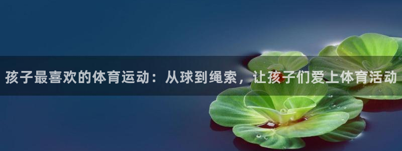 孩子最喜欢的体育运动：从球到绳索，让孩子们爱上体育活动