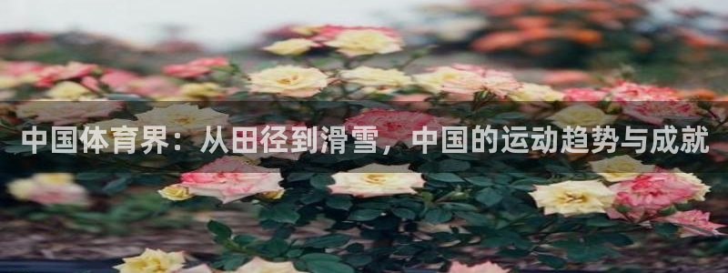 中国体育界：从田径到滑雪，中国的运动趋势与成就