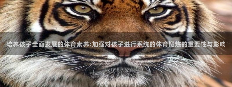 培养孩子全面发展的体育素养:加强对孩子进行系统的体育锻炼的重要性与影响